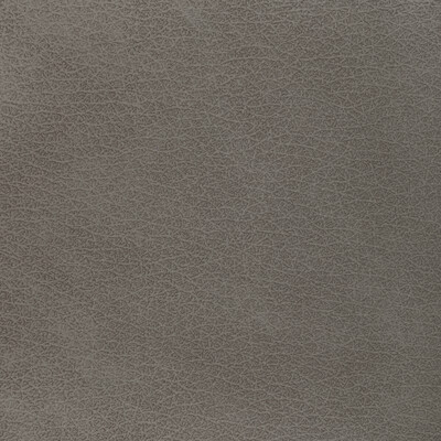 Kravet Design L-el Vado.taupe.0 Kravet Design Upholstery Fabric in L-el Vado-taupe/Taupe/Grey